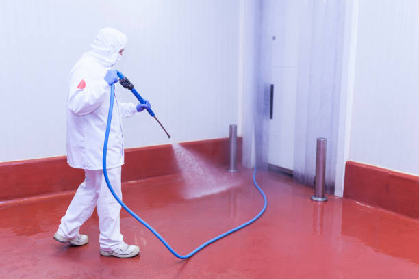 Trusted Fairbury, IL Pressure Washing Services Experts